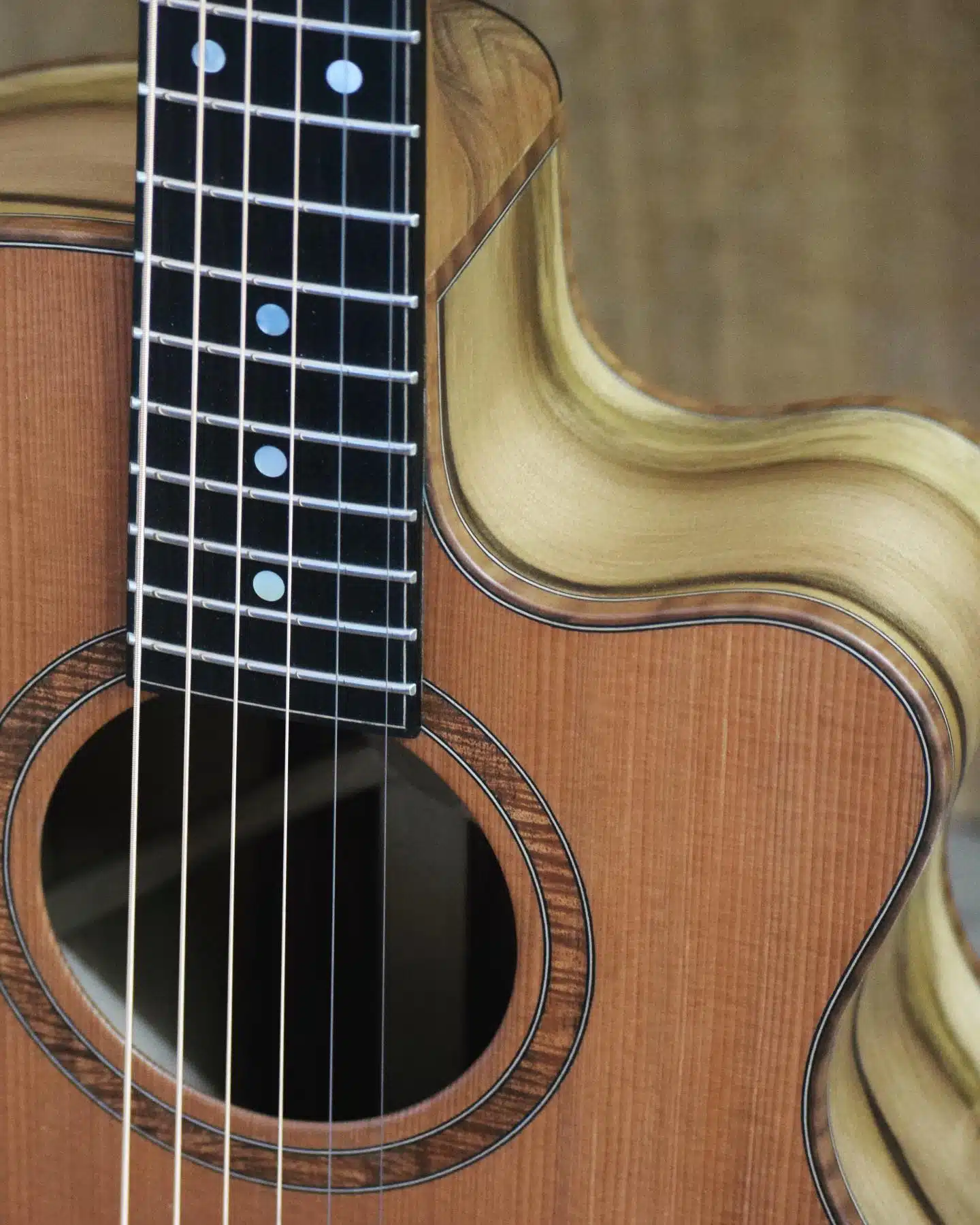 T Guitars (4) T Guitars (4)